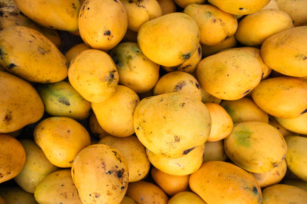Premium Pakistani Mangoes